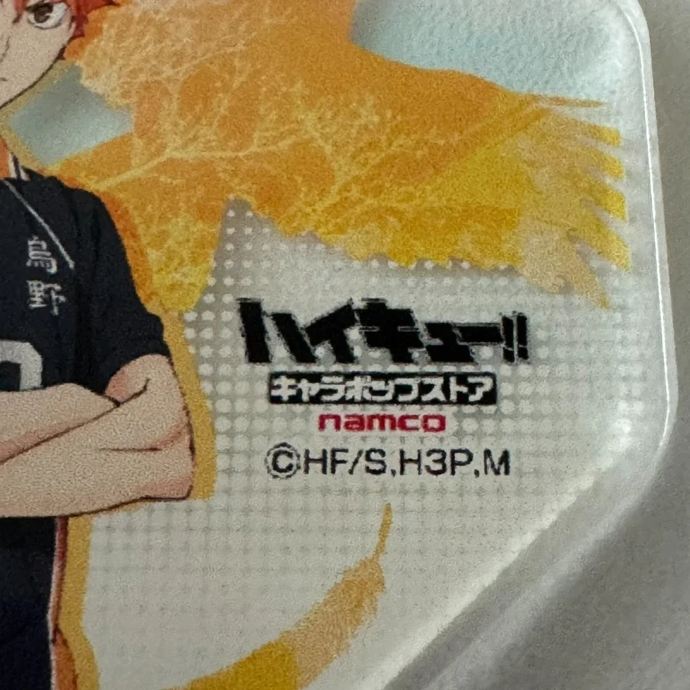 Haikyuu Shoyo‎ Hinata Volleyball Anime Series Acrylic Charm Tag Fob Keys Bag
